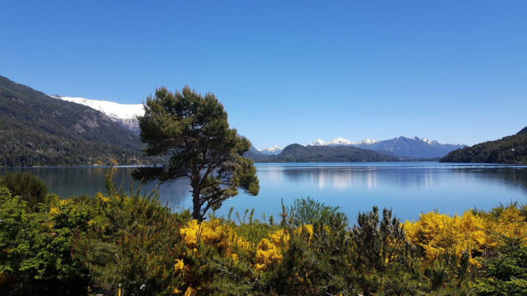 Venta de lotes en Lago Moreno: un recorrido