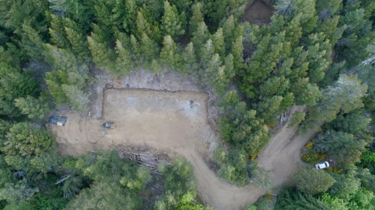 Denuncian talas de árboles por construcciones en el oeste de Bariloche