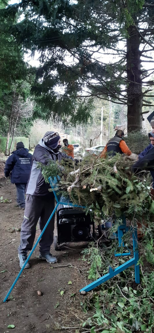 Realizaron primer operativo de recuperación de material forestal en el oeste