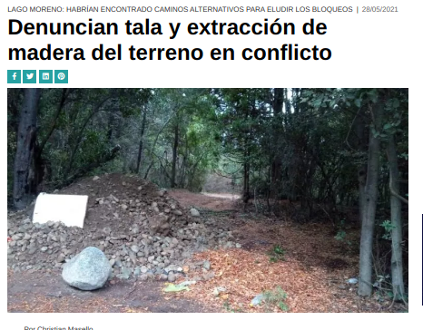 Requieren que provincia confirme sobre dichos de Gallegos y Moscoso por material forestal