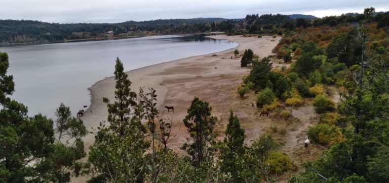 Bariloche: Comunidades Mapuche repudian y rechazan especulación disfrazada de “pastoreo” en el Lago Moreno