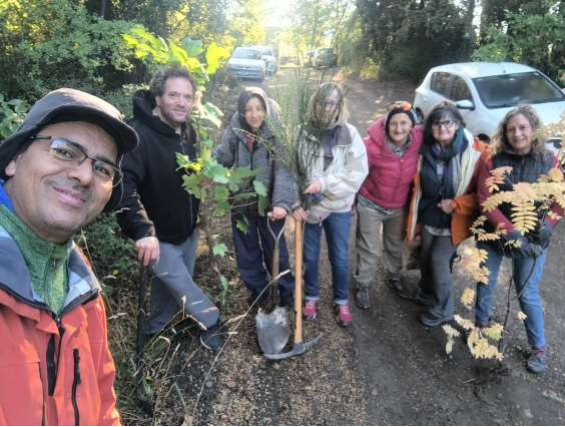 Exitosa jornada de limpieza y extracción de especies exóticas en el Bosque de la Ermita